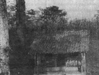 tempat tuyul