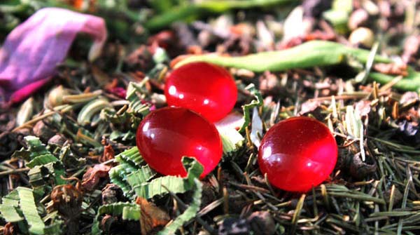 batu mustika merah delima