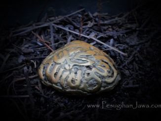 besi kuning kijing brajamusti