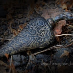 Mengenal Jimat Keris Semar Kuncung & Khasiatnya