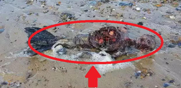 penampakan putri duyung