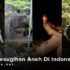 Ritual Pesugihan Aneh Ini Cuma Ada Di Indonesia, Apa Saja?